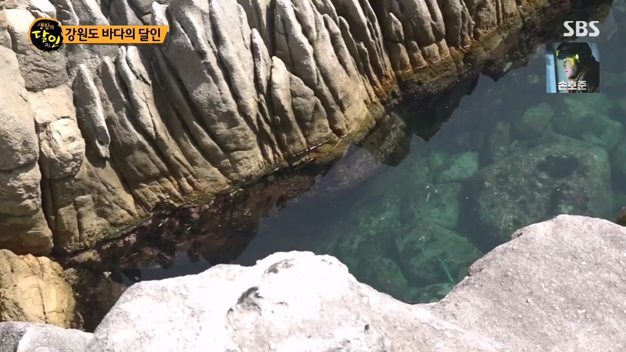 생활의 달인.E899.230732p-NEXT.mp4_20230801_213228.345.jpg