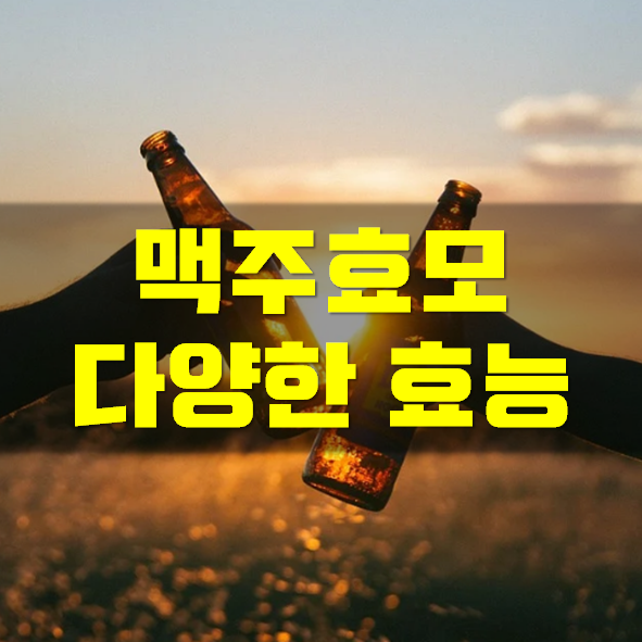  맥주효모환 효능 및 고르는법
