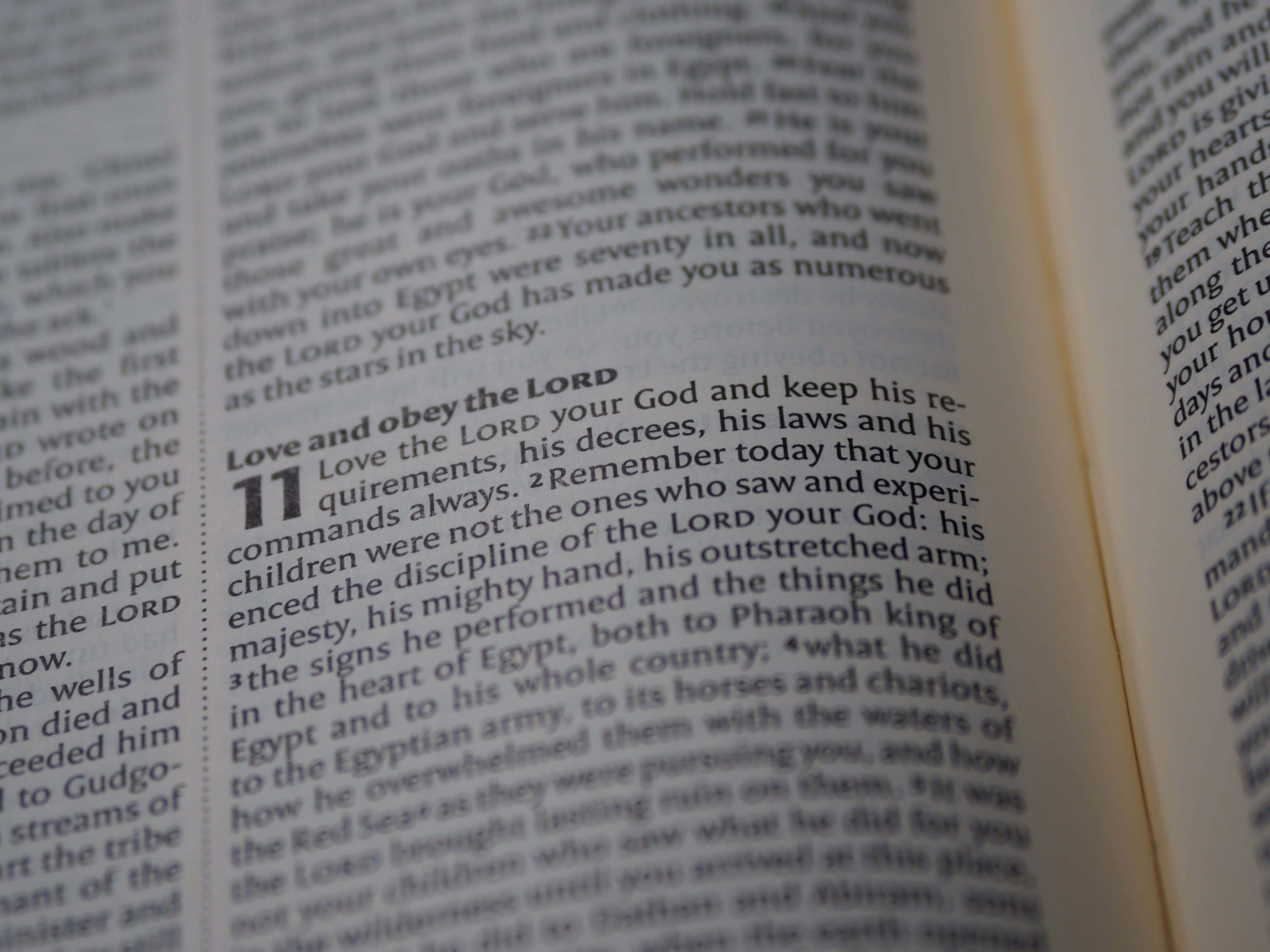  신명기 19장 - Deuteronomy 19 : 1~21