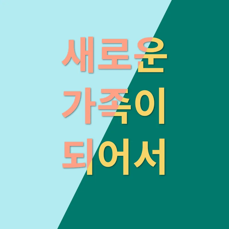크림 닥스훈트 분양_3