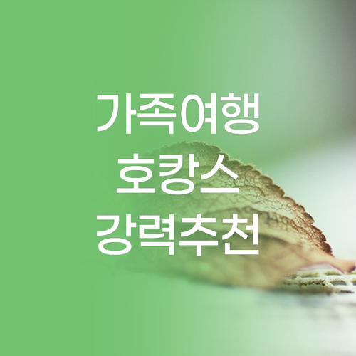 르 팔미에 호짬 리조트 가족 여행객에