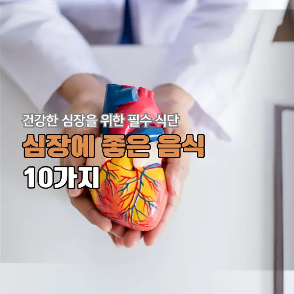 심장에 좋은 음식