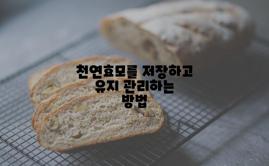 천연효모를 저장하고 유지 관리하는 방법