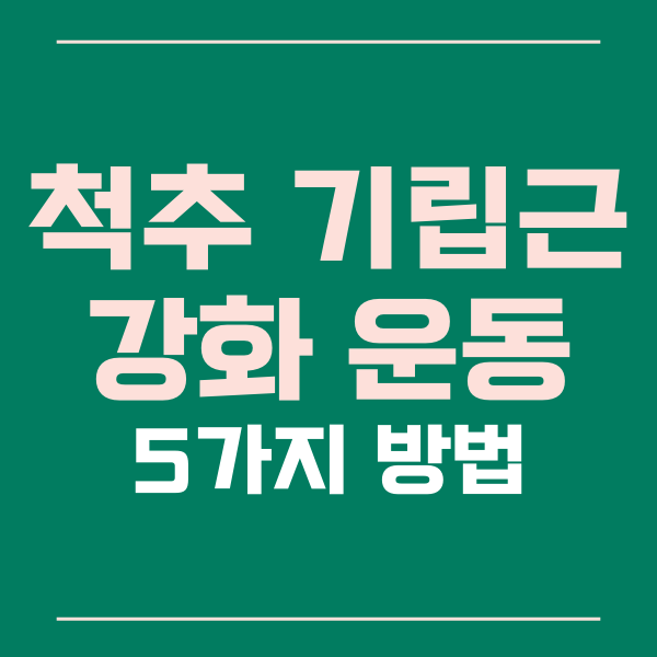  척추 기립근 강화를 위한 5가지 운동 방법