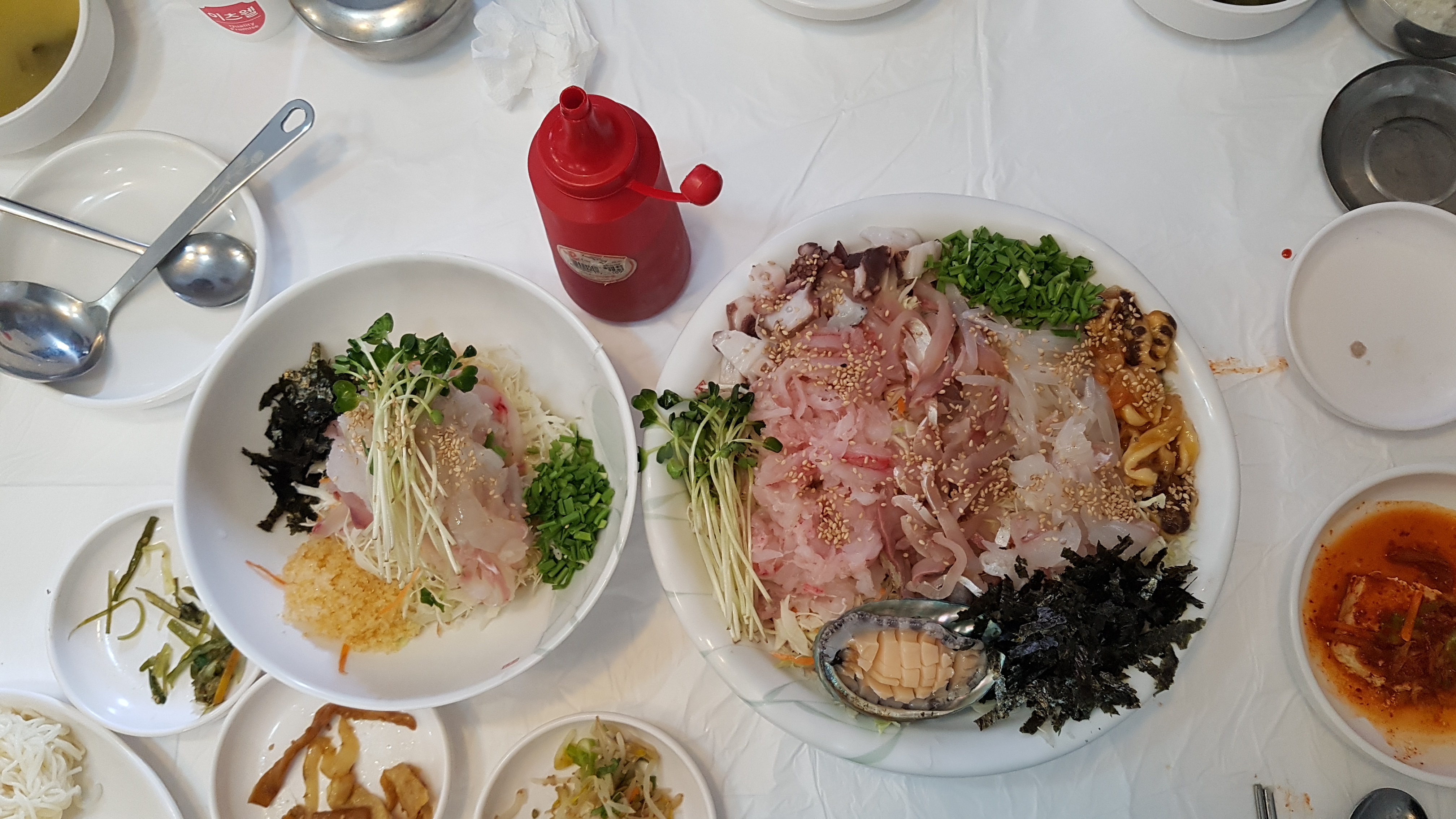  강릉 맛집추천  "택지 명품물회 ,회덮밥"