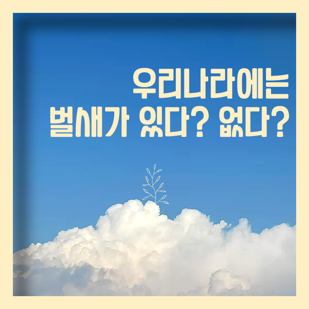 한국 벌새 유무