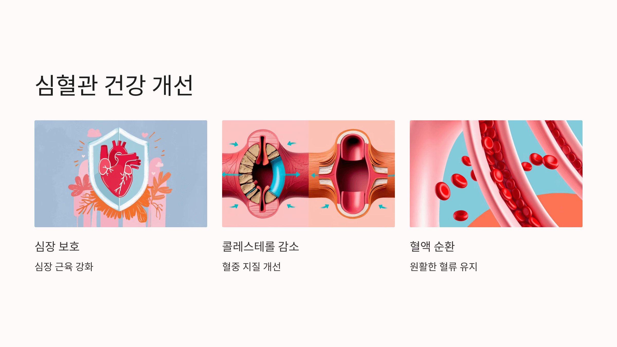 식물성 멜라토닌과 관련된 사진입니다.