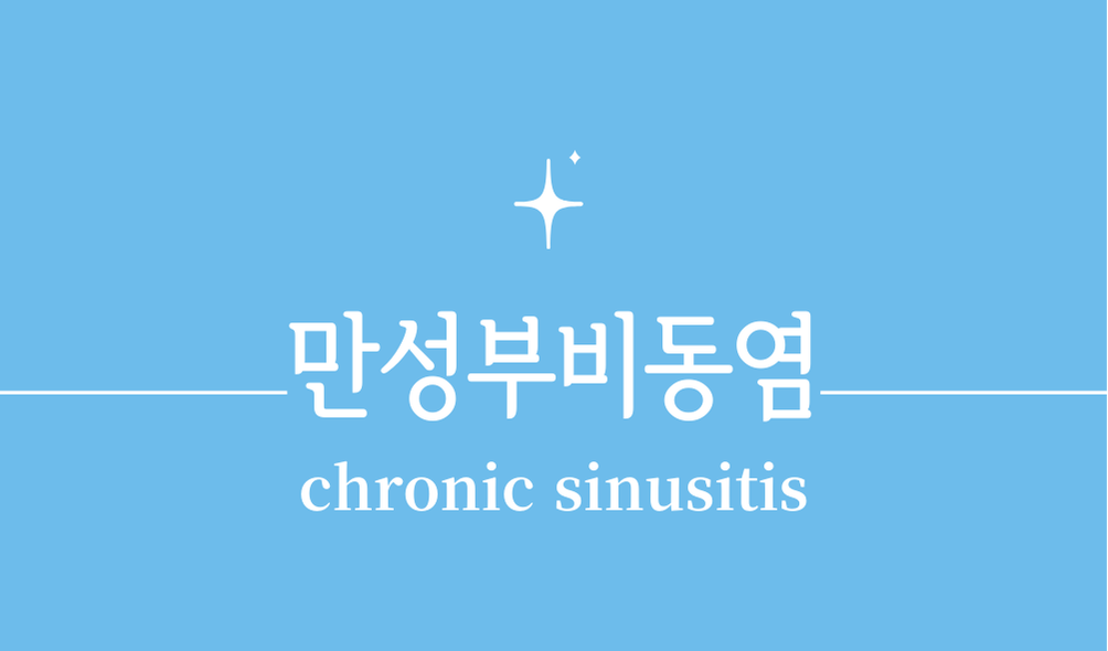 '만성 부비동염(chronic sinusitis)'