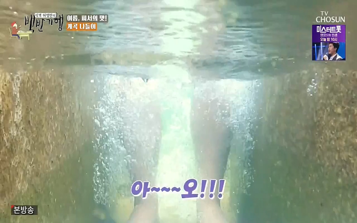 식객 허영만의 백반기행.E162.220730p-NEXT.mp4_20220730_180849.131.jpg