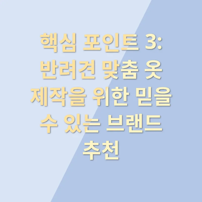 반려견 옷 맞춤 제작_3