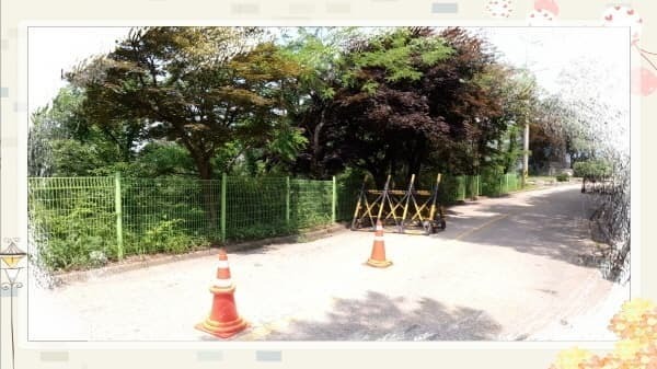 북악스카이웨이 산책로 완벽 가이드: 초보자도 쉽게 따라하는 코스 