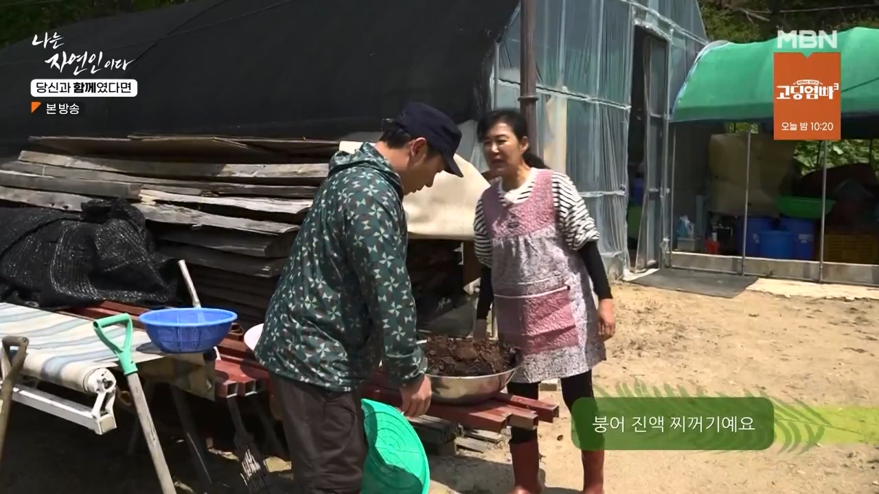 나는 자연인이다.E556.230532p-NEXT.mp4_20230601_201500.354.jpg