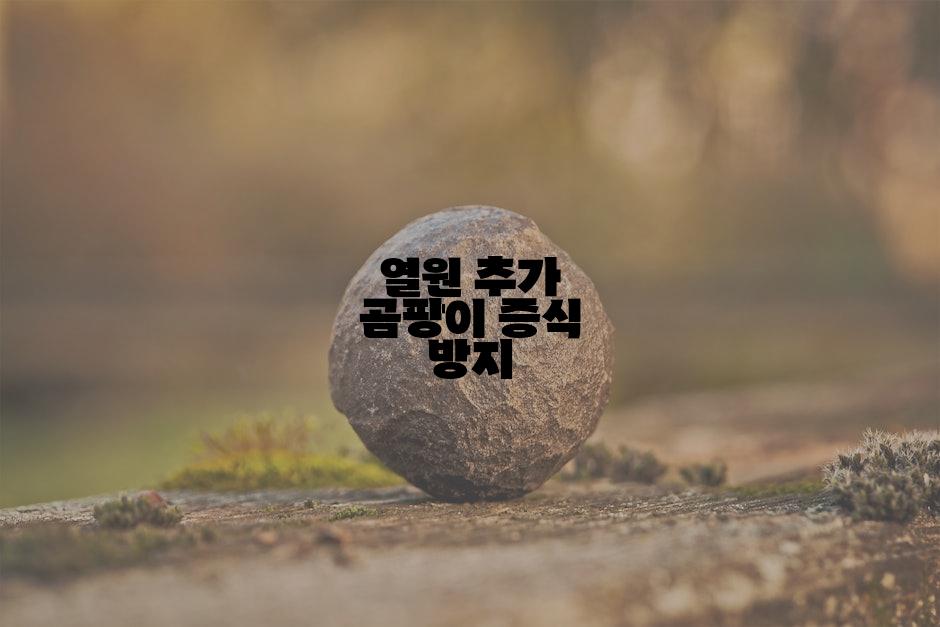 열원 추가 곰팡이 증식 방지