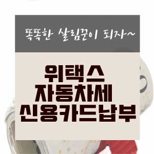  위택스 자동차세 신용카드 납부하기