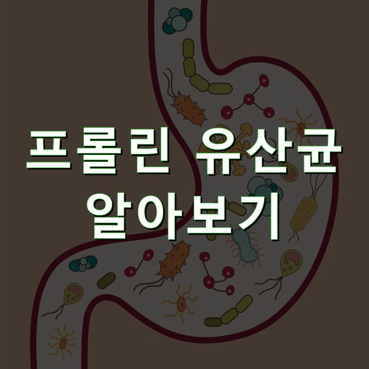  프롤린 유산균 효능 부작용 고르는법 복용법