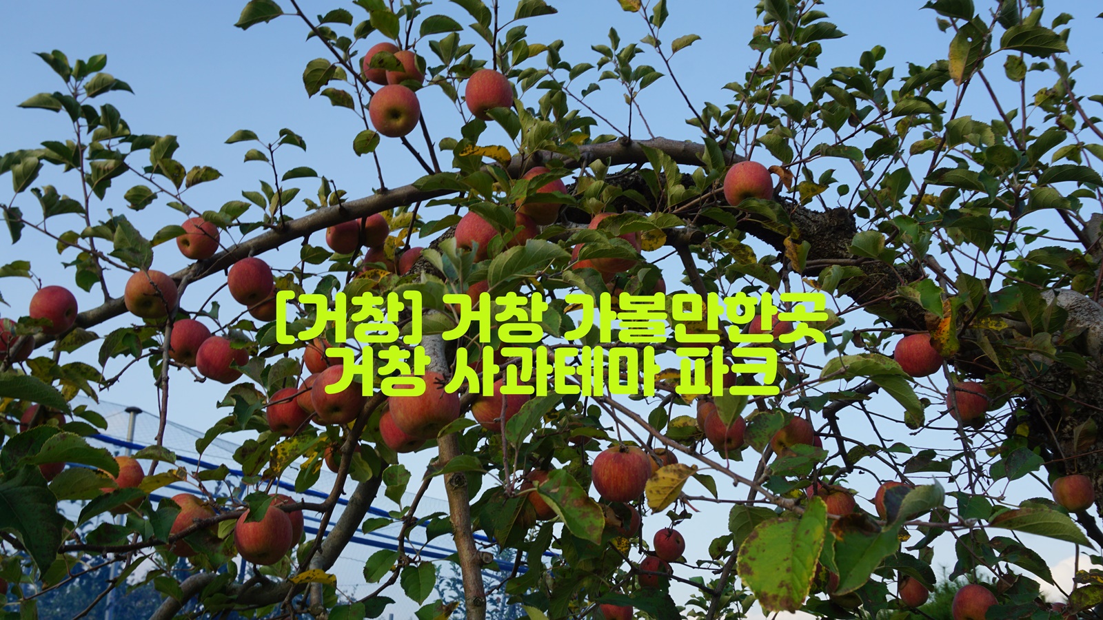  [거창] 거창 가볼만한곳…거창 사과테마 파크