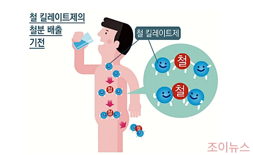 철분 과다 섭취 시 치료_이미지출처:대한혈액학회