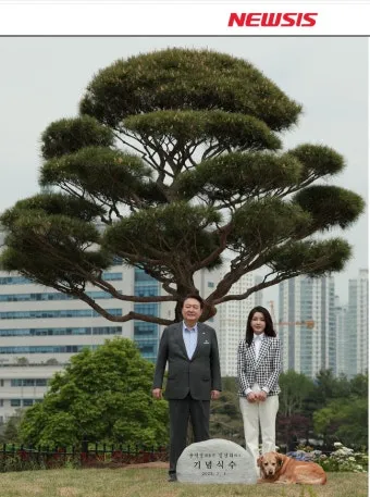 용산어린이정원 온화 전시 서울 전시회 추천_18