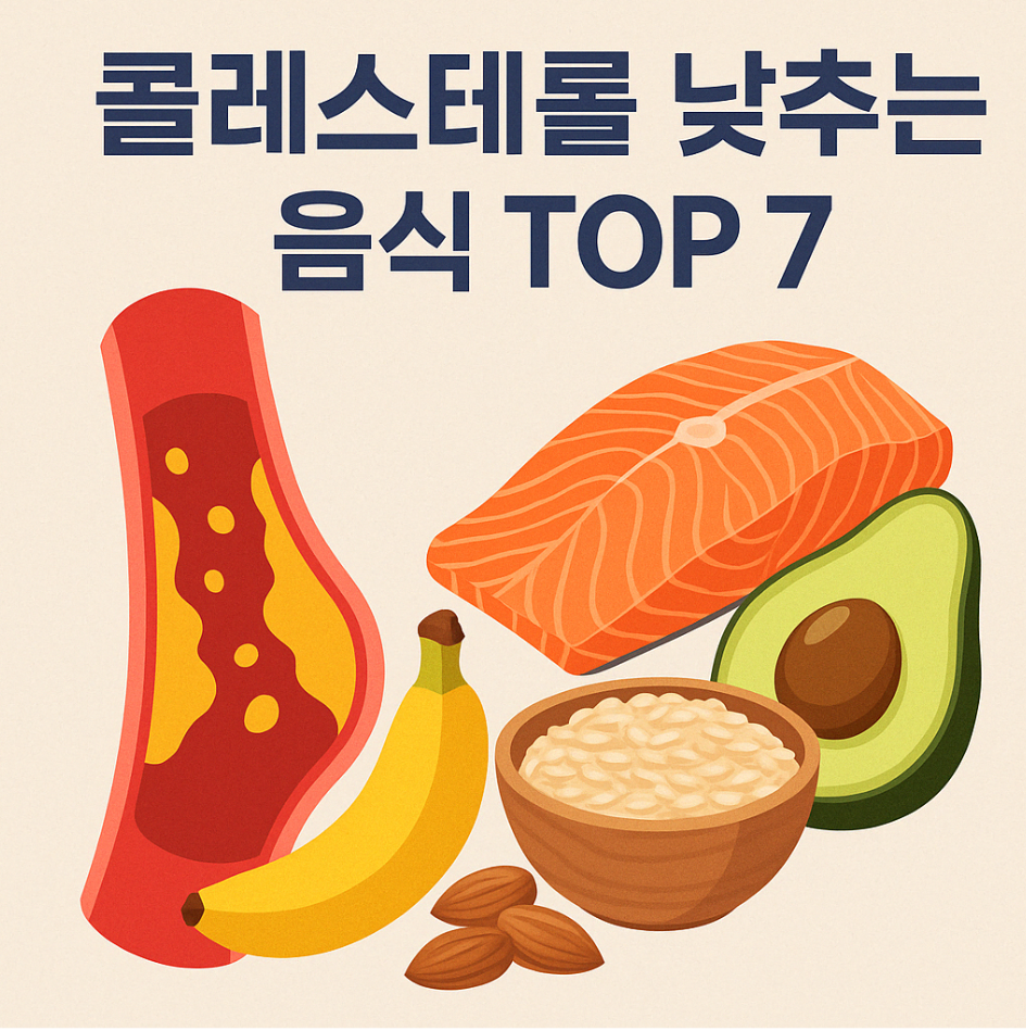 콜레스테롤