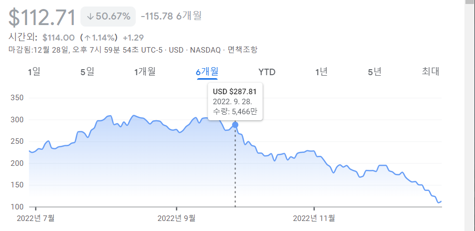  테슬라 주가 바닥을 찍나 믿었던 투자자들 분노