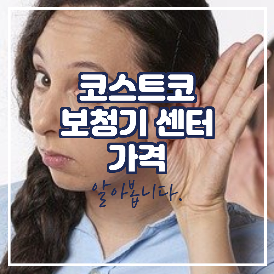  코스트코 보청기 가격 추천