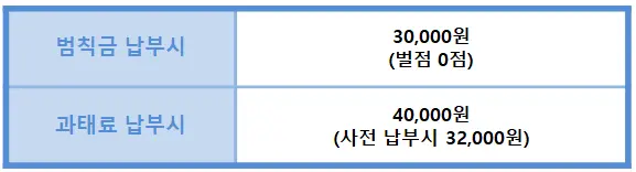 과태료-범칙금