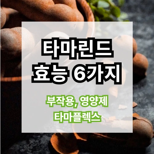 타마린드소스
