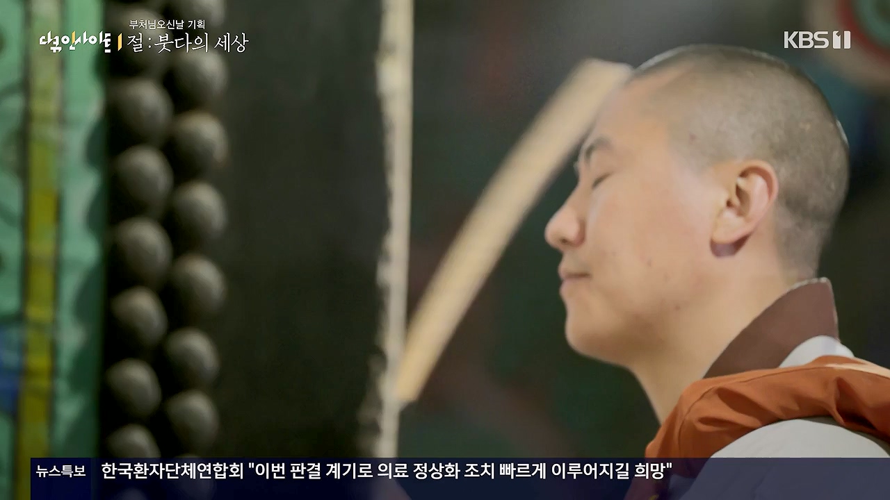 다큐 인사이트.E185.240517p-NEXT.mp4_20240517_202647.648.jpg