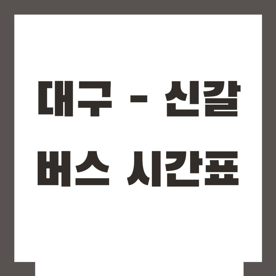 대구 신갈 용인 버스 시간표