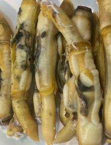 대맛조개-맛조개-철-가격