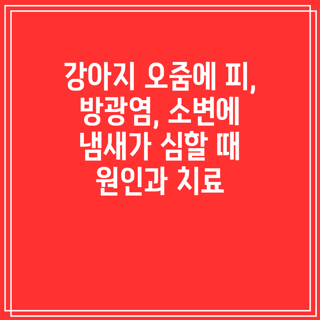 강아지 오줌에 피, 방광염, 소변에 냄새가 심할 때 원