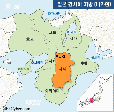  일본 간사이 나라현의 돈까스 대표 맛집 타베로그 돈까스 부분 1위 돈마사(とんまさ)
