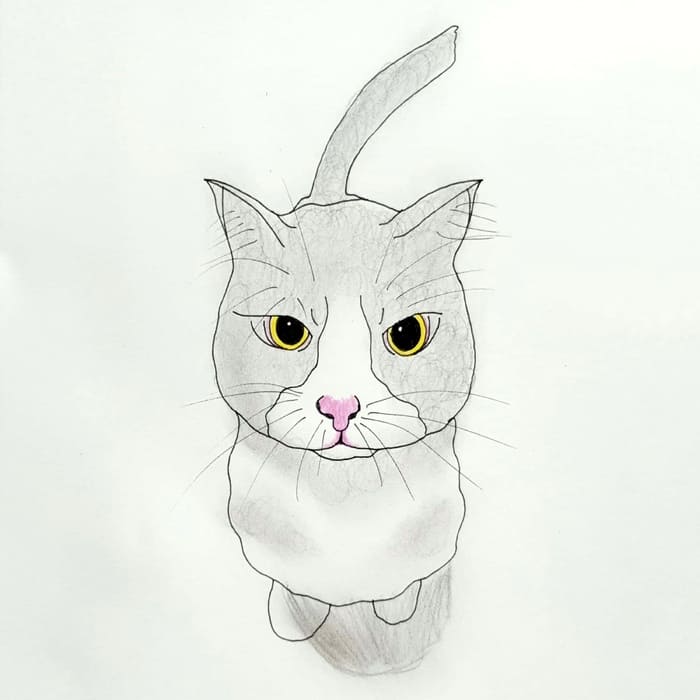  화난 고양이 Angry Cat 일러스트 그림 드로잉 2020 감정 표현