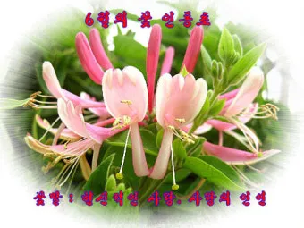 6월 날짜별인사말 최신판 총정리_8