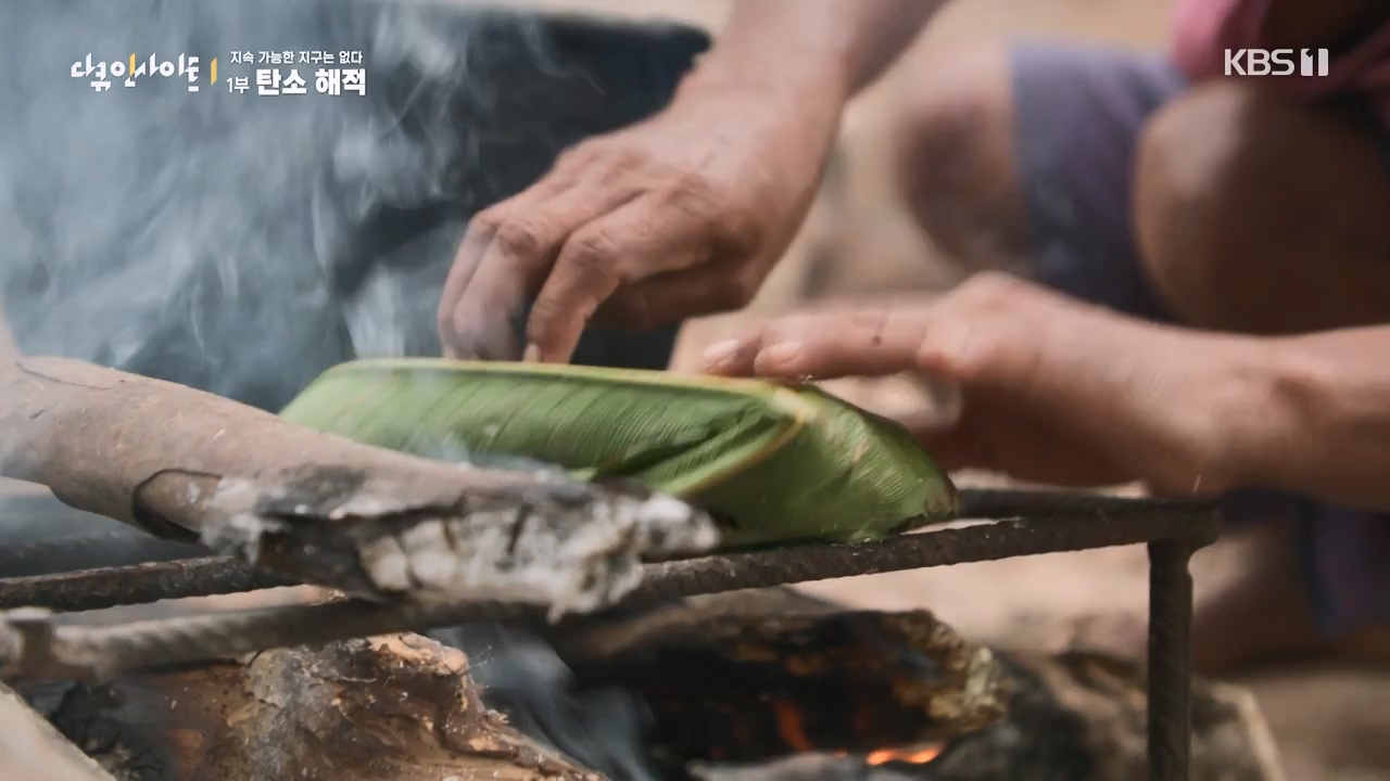 다큐 인사이트.E177.240112p-NEXT.mp4_20240113_155845.989.jpg