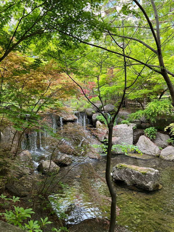  8개월 복덩이와 첫 여행, 곤지암리조트 생태하천