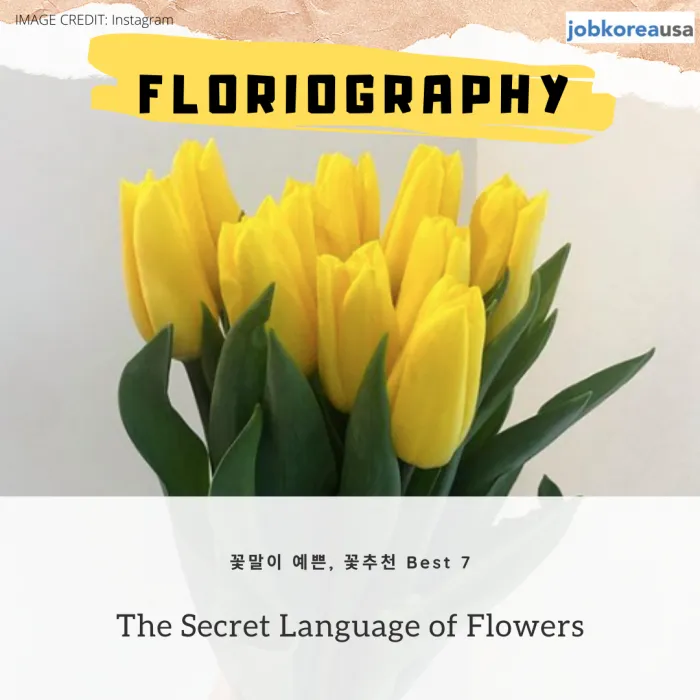 예쁜 꽃말 추천 모음 이해할수록 매력적인 꽃들의 꽃말 안내 모음_2