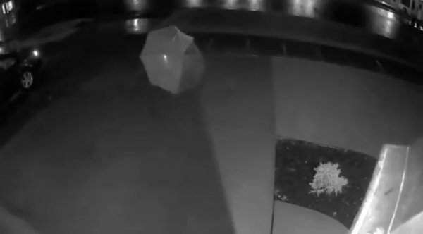  제주도 파라솔 걸어서 피난.gif