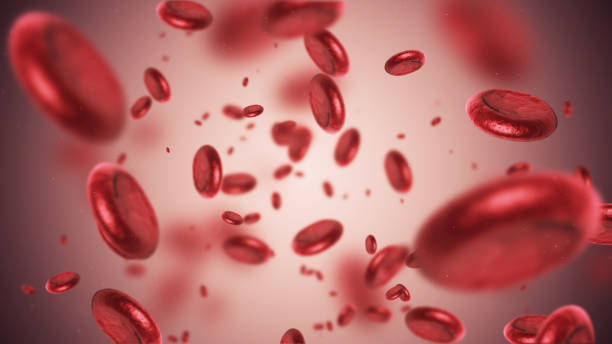 당신의 건강을 위해 피를 맑게 하는 방법 6가지