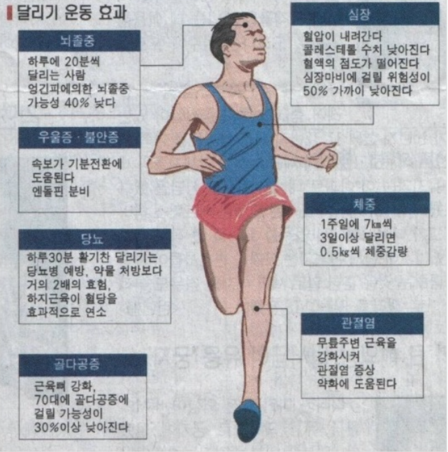 주자의 그림과 달리는 것이 신체 부위에 미치는 영향에 대한 설명