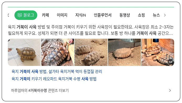 거북이 사육_1_subsection