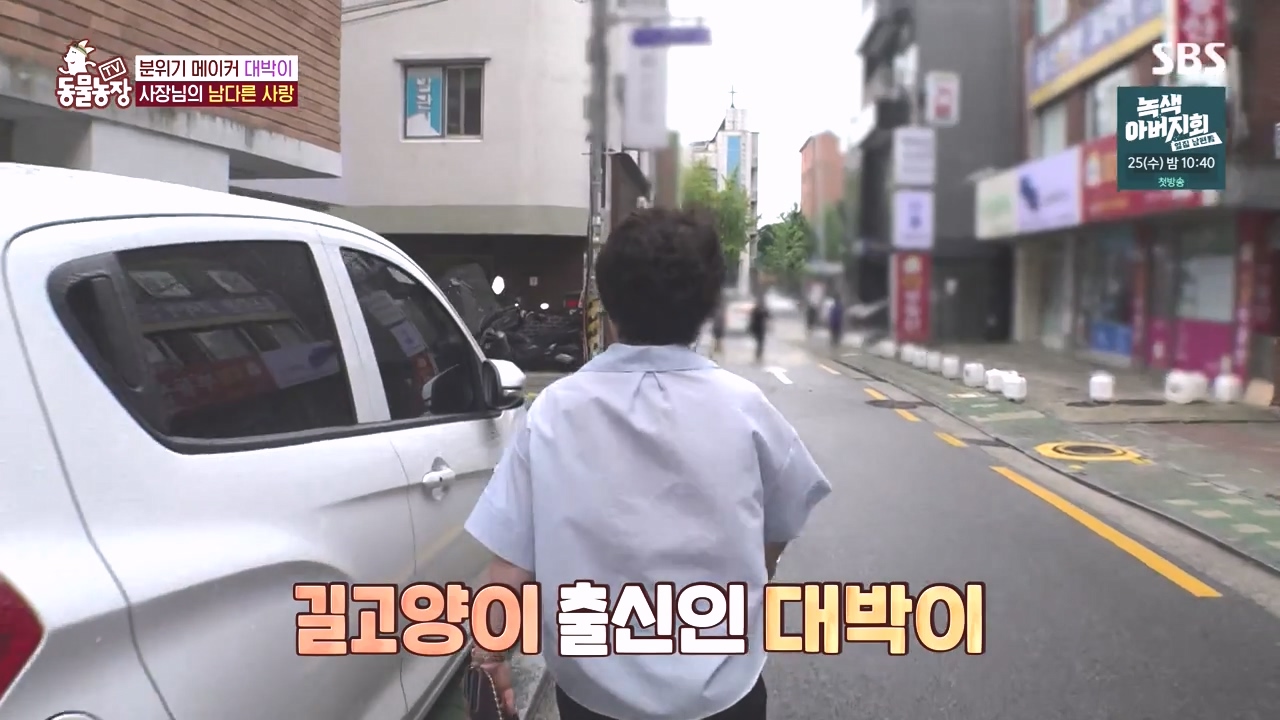 TV 동물농장.E1141.231016p-NEXT.mp4_20231015_173958.961.jpg