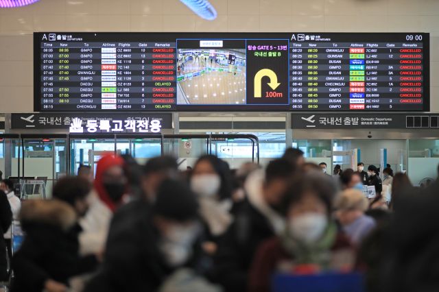 항공편 결항