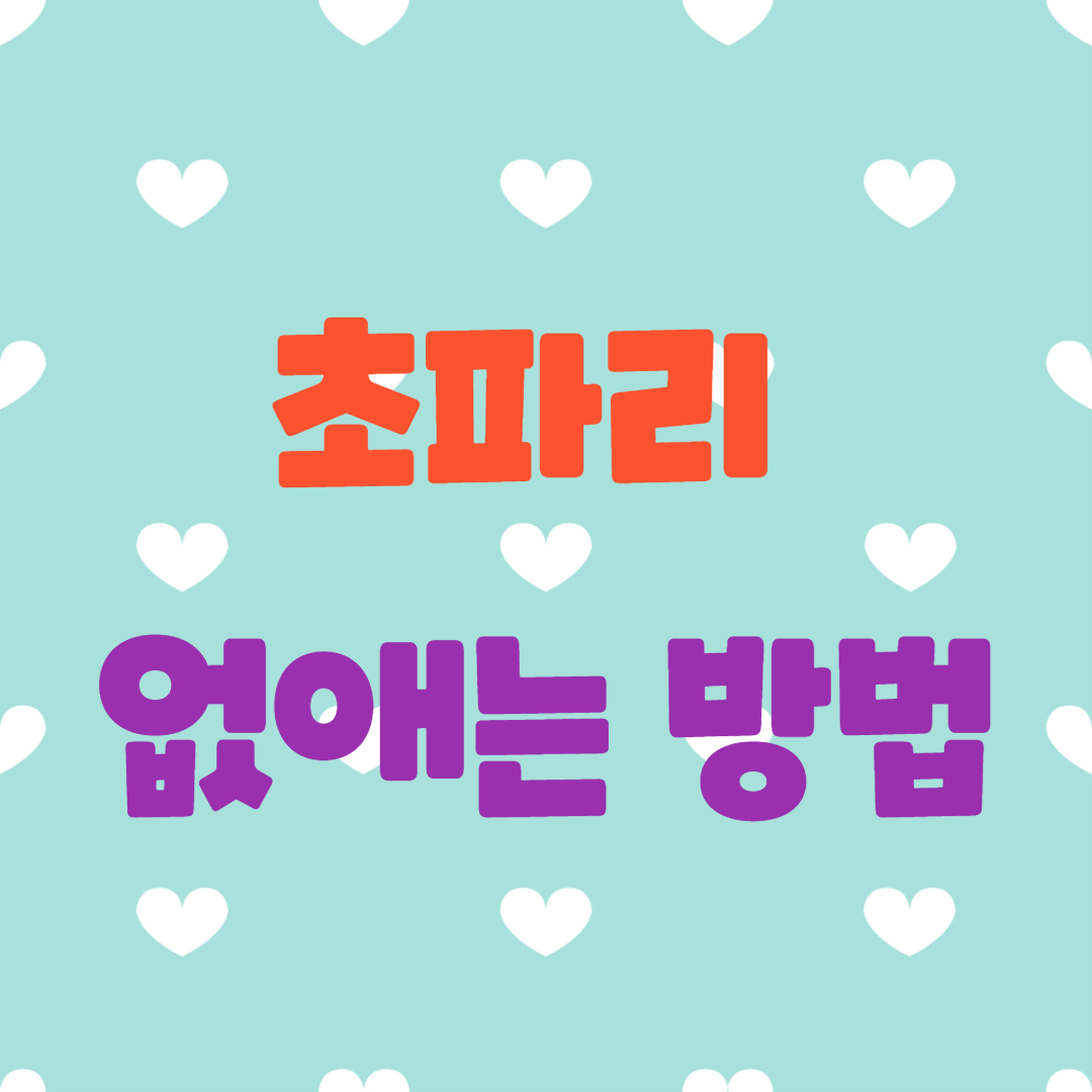  초파리 없애는 방법