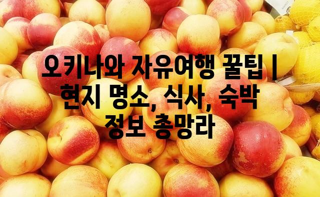 랜덤113