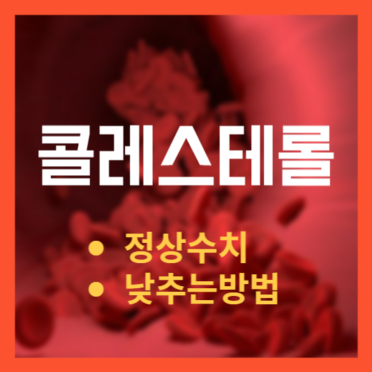 콜레스테롤 낮추는 방법&#44; 정상수치!?