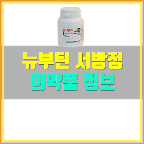  뉴부틴서방정 의약품 정보
