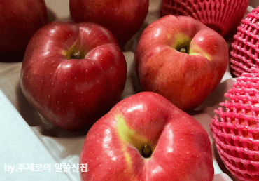 소화 잘 되는 음식 사과