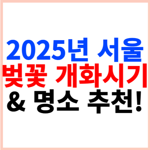 2025년 서울 벚꽃 개화시기 &amp; 명소 추천!