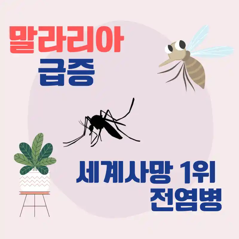 국내 말라리아 환자 급증-모기-식물